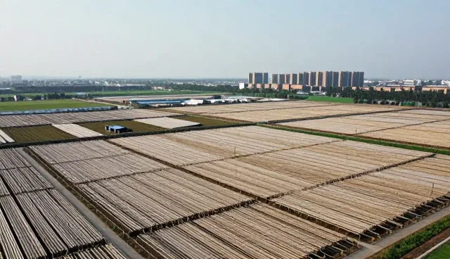 无纺布制品在医疗防护场景中的应用与需求趋势